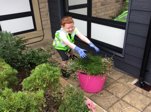Gardening Image